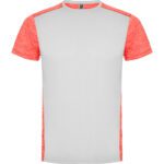 2884-5_m-6653-221243-1-1-1