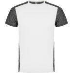 2884-5_m-6653-221243-1-1-1