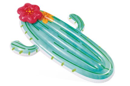 58793EU Plovadlo kaktus