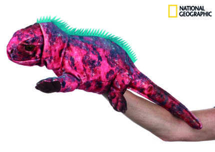 National Geographic maňásek Leguán 23 cm
