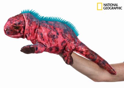 National Geographic maňásek Medvěd Grizzly 23 cm