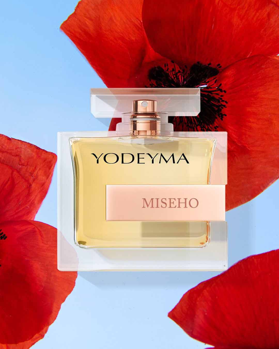 MISEHO_ae7f92ed-ee90-4f9f-8fc4-508ea2a2a1d1-1