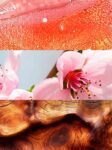 Sexy-Rose_100ml_1-2