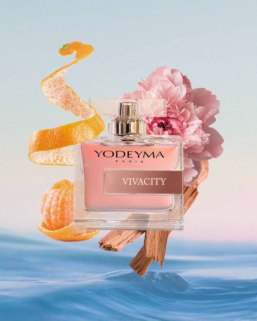 VIVACITY_20ddb15f-0414-48f9-aaab-965f88331096-1