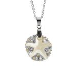 17963_17963-ocelovy-nahrdelnik-s-kamenem-ve-tvaru-hvezdice-doplneny-krystaly-swarovski-golden-shadow