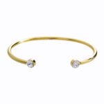 20549_20549-zlaty-ocelovy-naramek-dva-krystaly-swarovski-crystal