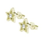 20816_20816-pozlacene-stribrne-nausnice-puzety-obvodova-hvezdicka-s-krystalem-swarovski-crystal-stribro-925-1000