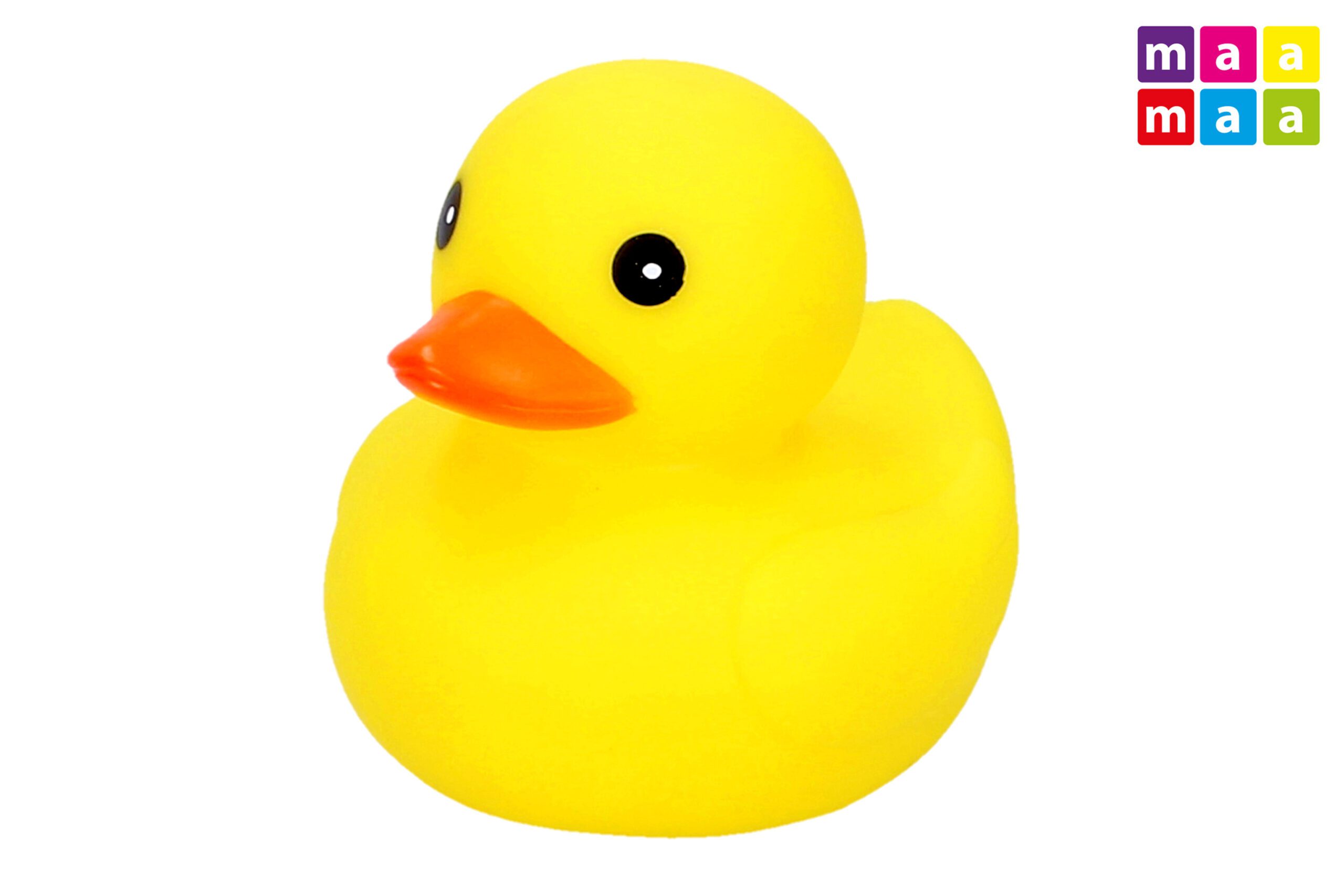 8590331012213