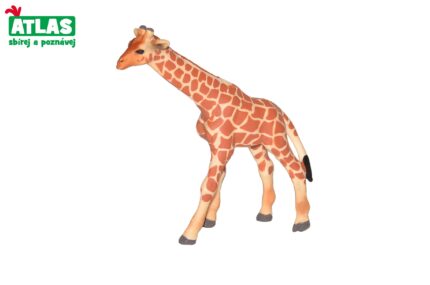 A - Figurka Žirafa mládě 9 cm