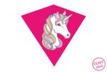 kite_data