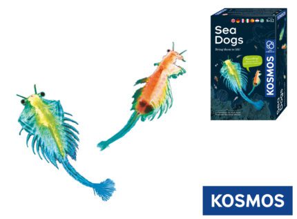 KOSMOS Vodní mazlíček žábronožka