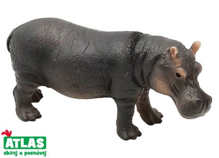 C - Figurka Hroch obojživelný 12 cm