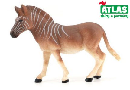 C - Figurka Zebra kvaga 12,5 cm