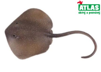 C - Figurka Rejnok Trnucha východní 18,5 cm