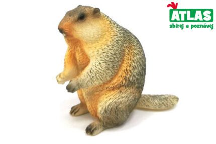 A - Figurka Svišť 6,5 cm