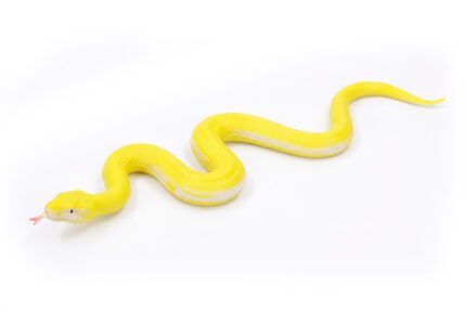 Had gumový měkký 60 cm