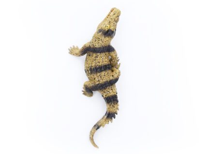 Krokodýl gumový měkký 23 cm