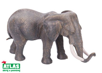 F - Figurka Slonice africká 17 cm