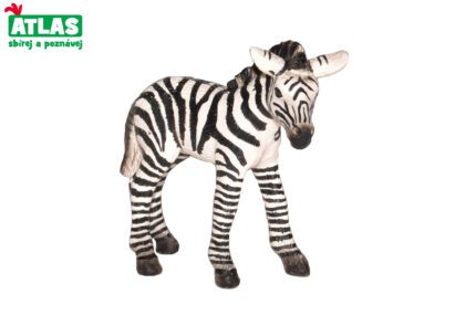 A - Figurka Zebra hříbě 7 cm