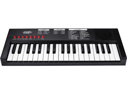 Klávesy s mikrofonem 40 cm